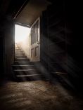 Doo leading to stairs that go to a dark basement.