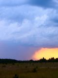 Gustnado